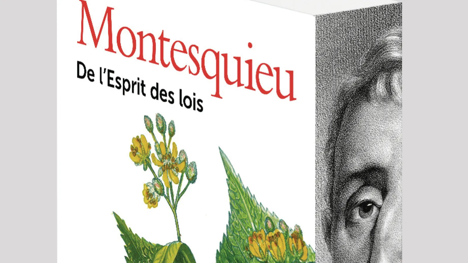 De l'Esprit des lois