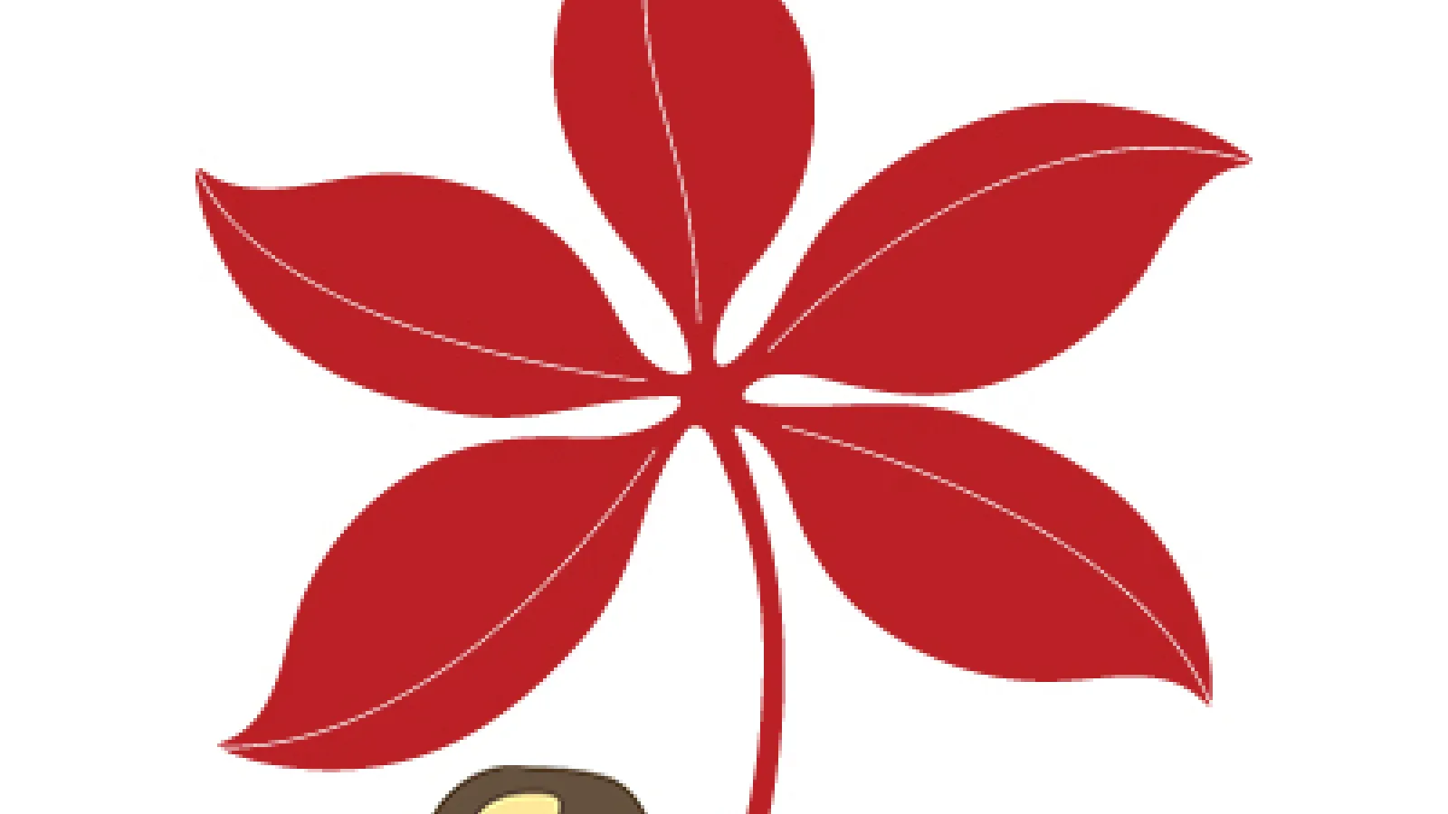 Buckeye leaf