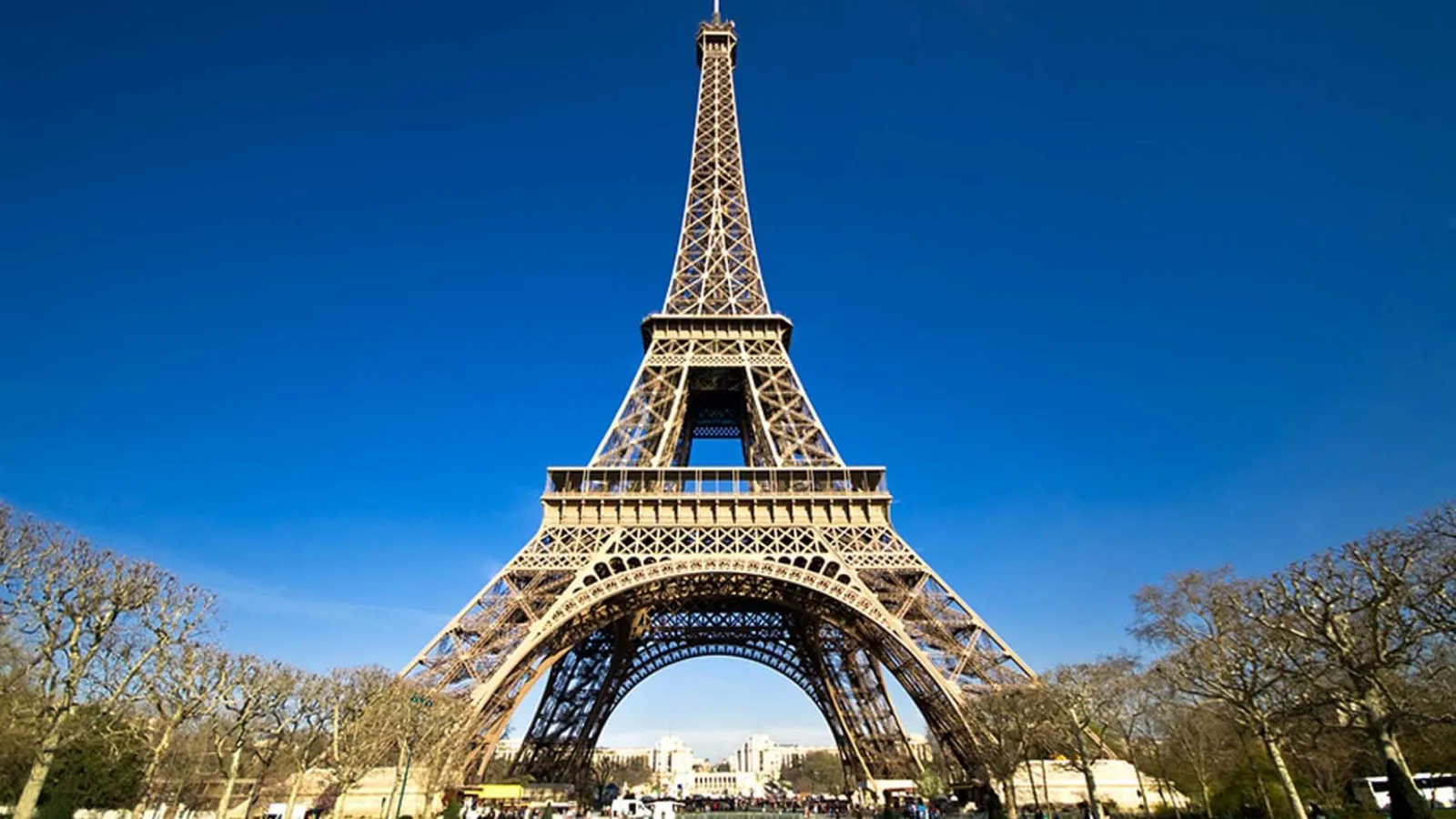 Paris Photo