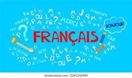 FR3101-SP24