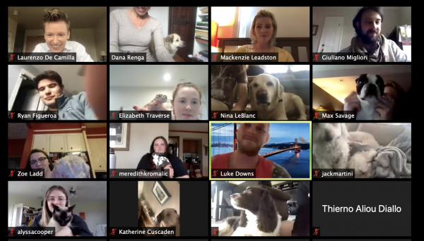 Professor Renga's Italian 2055 class with pets on Zoom