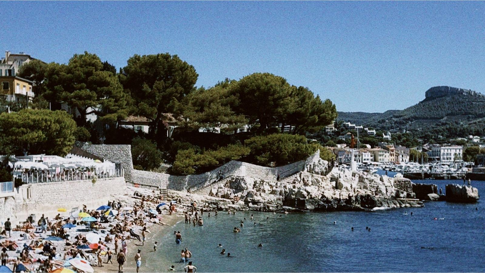 people at a beach